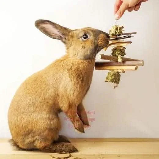 Hay and Twig Hanging Mobile