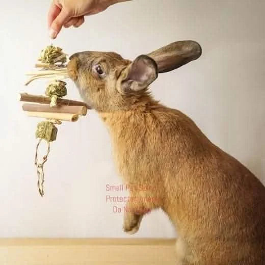 Hay and Twig Hanging Mobile