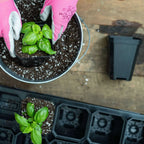 Heavy-Duty 3.3-Inch Seed Starting Pots with Inserts, Drainage Holes, and 36, 90, or 180 Pot Sets