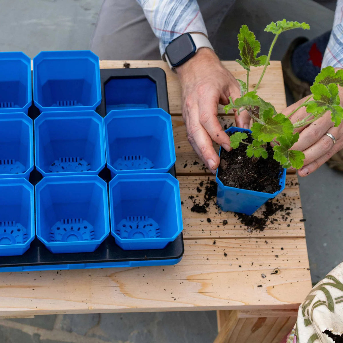 Heavy-Duty 3.3-Inch Seed Starting Pots with Inserts, Drainage Holes, and 36, 90, or 180 Pot Sets