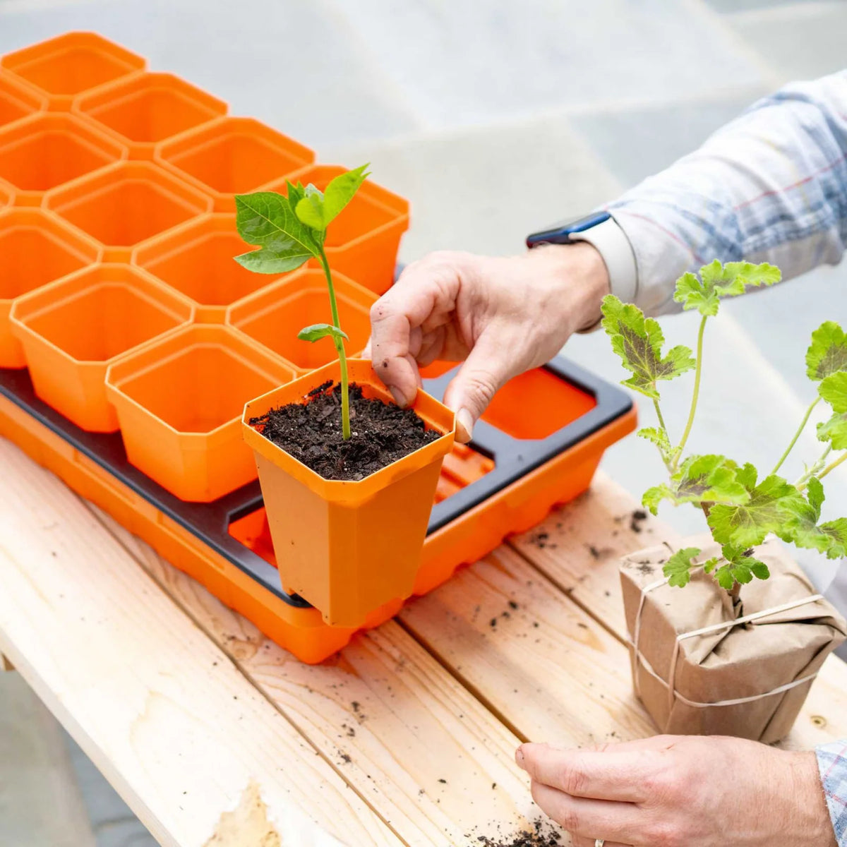 Heavy-Duty 3.3-Inch Seed Starting Pots with Inserts, Drainage Holes, and 36, 90, or 180 Pot Sets
