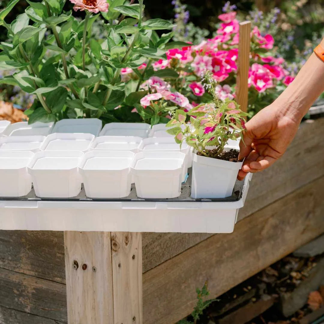Heavy-Duty 3.3-Inch Seed Starting Pots with Inserts, Drainage Holes, and 36, 90, or 180 Pot Sets