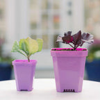 Heavy-Duty 3.3-Inch Seed Starting Pots with Inserts, Drainage Holes, and 36, 90, or 180 Pot Sets