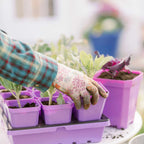 Heavy-Duty 3.3-Inch Seed Starting Pots with Inserts, Drainage Holes, and 36, 90, or 180 Pot Sets