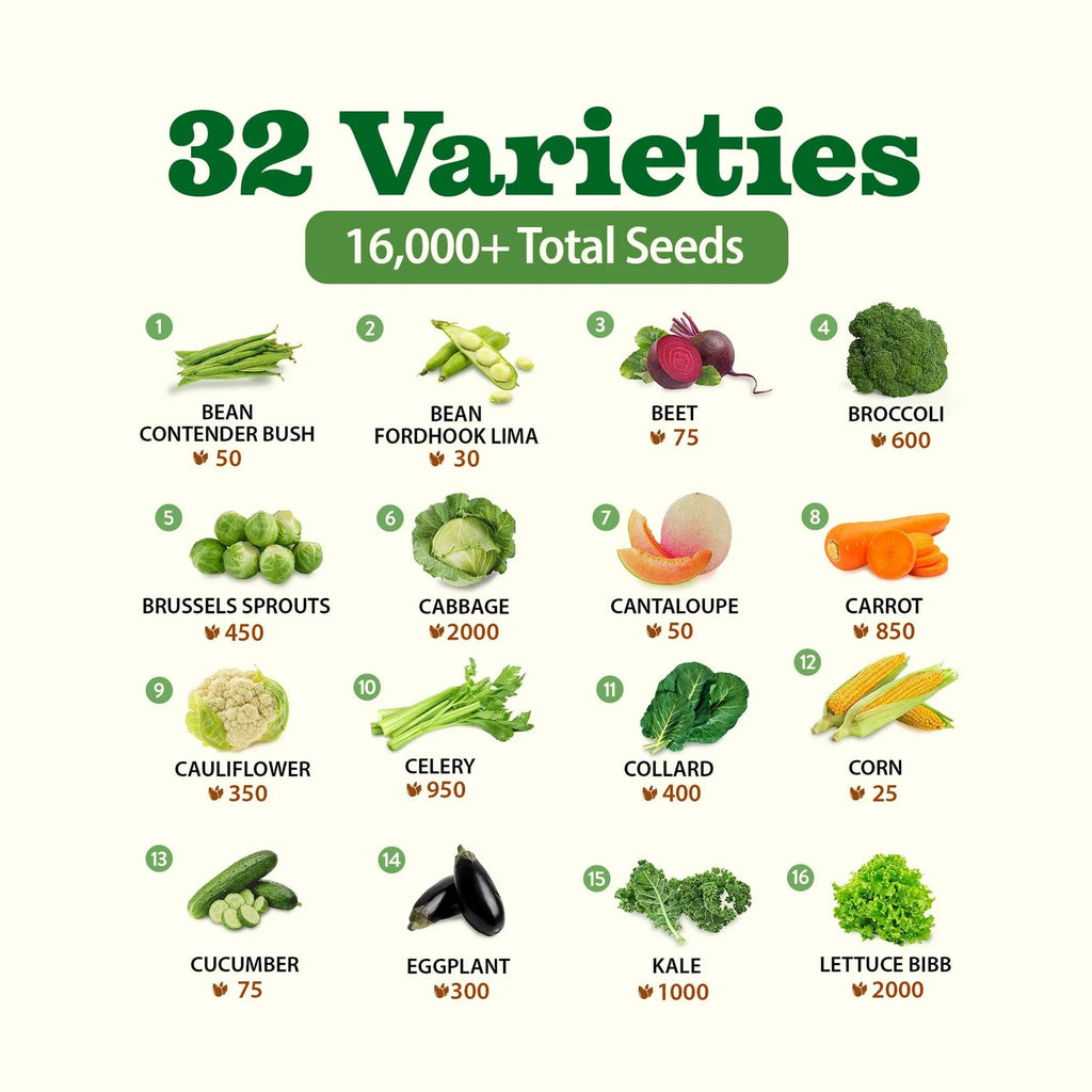 Heirloom Vegetable Seeds Collection with 32 Open-Pollinated Varieties and Over 15,000 Seeds for Home Gardens