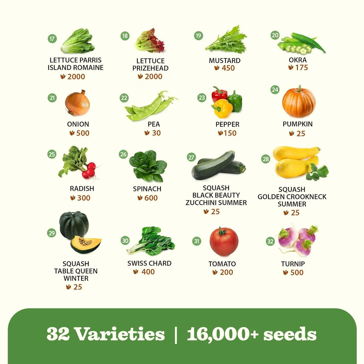 Heirloom Vegetable Seeds Collection with 32 Open-Pollinated Varieties and Over 15,000 Seeds for Home Gardens