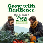 Heirloom Vegetable Seeds Collection with 32 Open-Pollinated Varieties and Over 15,000 Seeds for Home Gardens