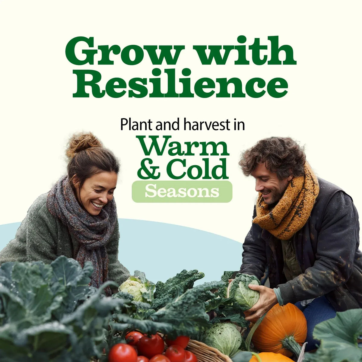 Heirloom Vegetable Seeds Collection with 32 Open-Pollinated Varieties and Over 15,000 Seeds for Home Gardens