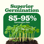 Heirloom Vegetable Seeds Collection with 32 Open-Pollinated Varieties and Over 15,000 Seeds for Home Gardens