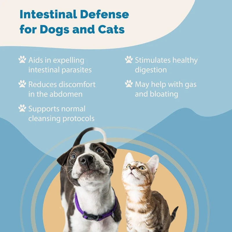 Herbal Dewormer