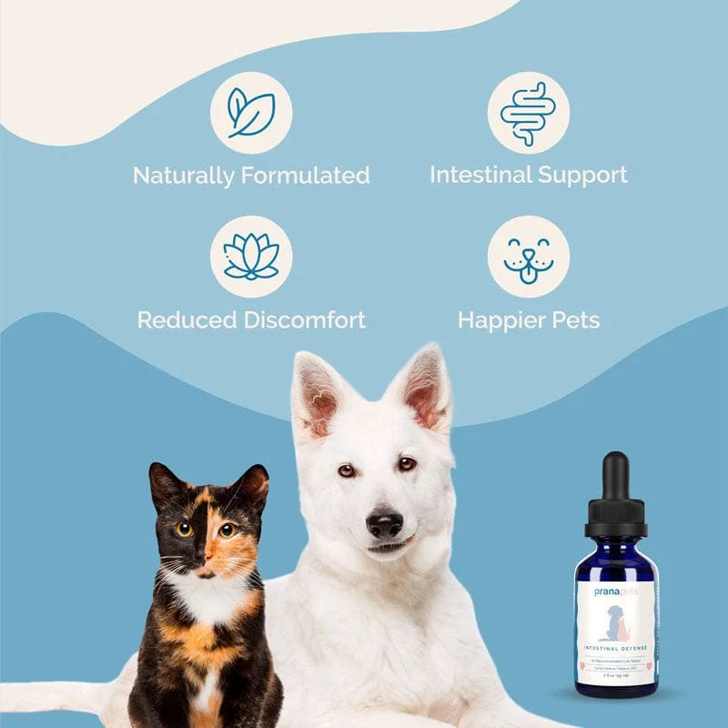Herbal Dewormer