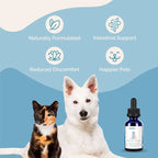 Herbal Dewormer