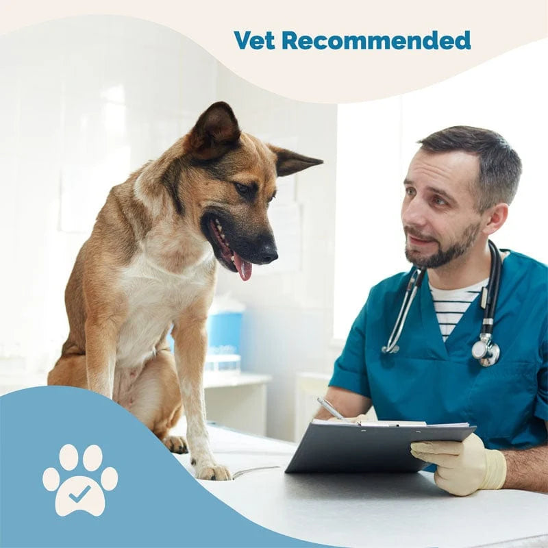 Herbal Dewormer