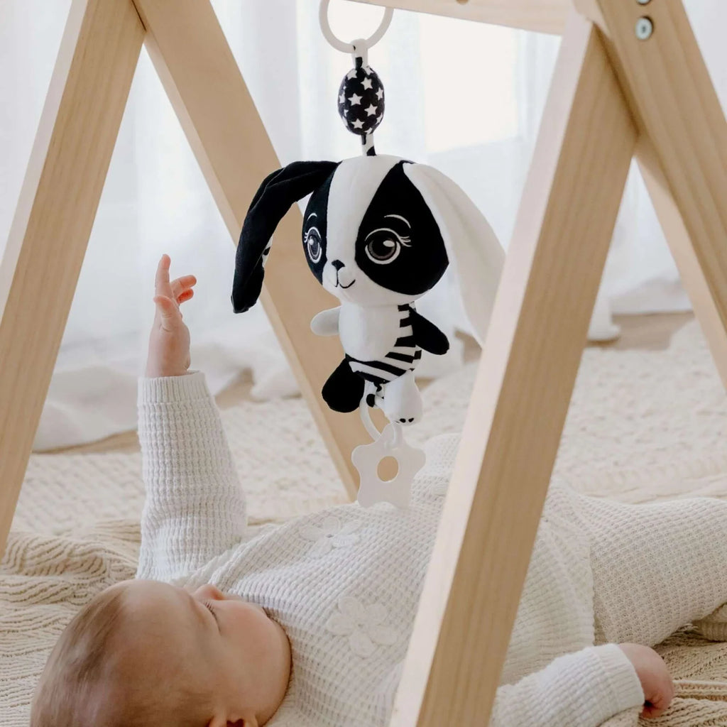 High Contrast Baby Gift Set with Tummy Time Books, Sensory Toys and Personalized Gift Card