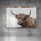 Highland Cow Canvas Wall Art in a Rustic Gallery Wrapped Style,