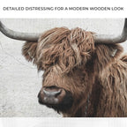 Highland Cow Canvas Wall Art in a Rustic Gallery Wrapped Style,