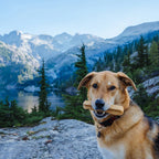 Himalayan Dog Chews Made
