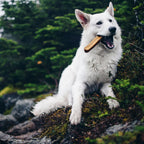 Himalayan Dog Chews Made