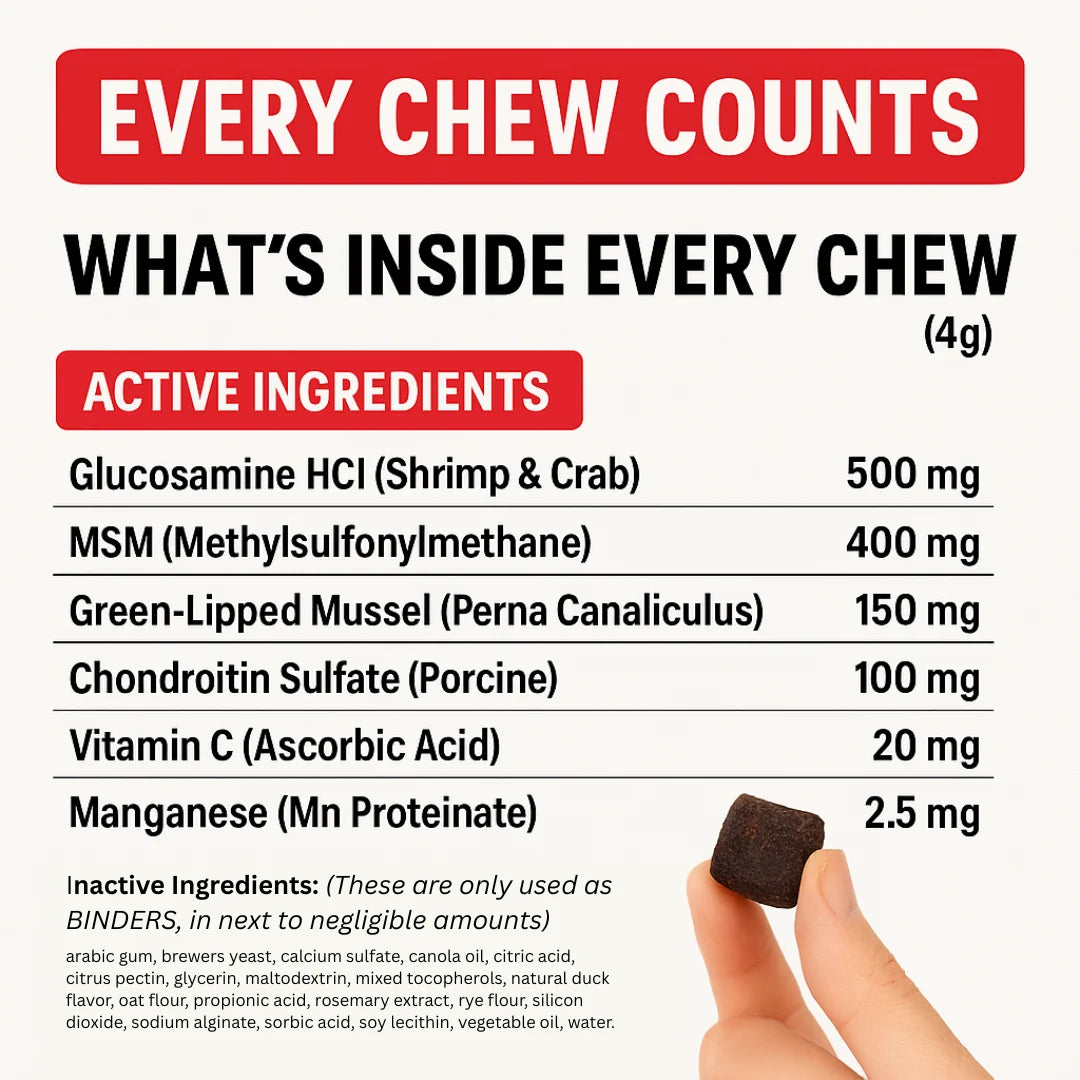 Hip and Joint Supplement Soft Chews for Dogs with Daily Mobility Support for Active Dogs of All Ages