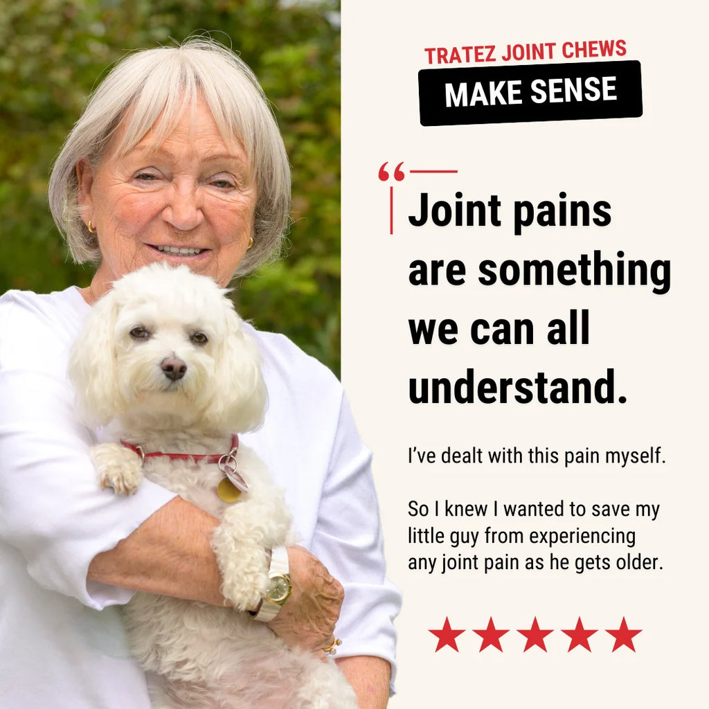 Hip and Joint Supplement Soft Chews for Dogs with Daily Mobility Support for Active Dogs of All Ages