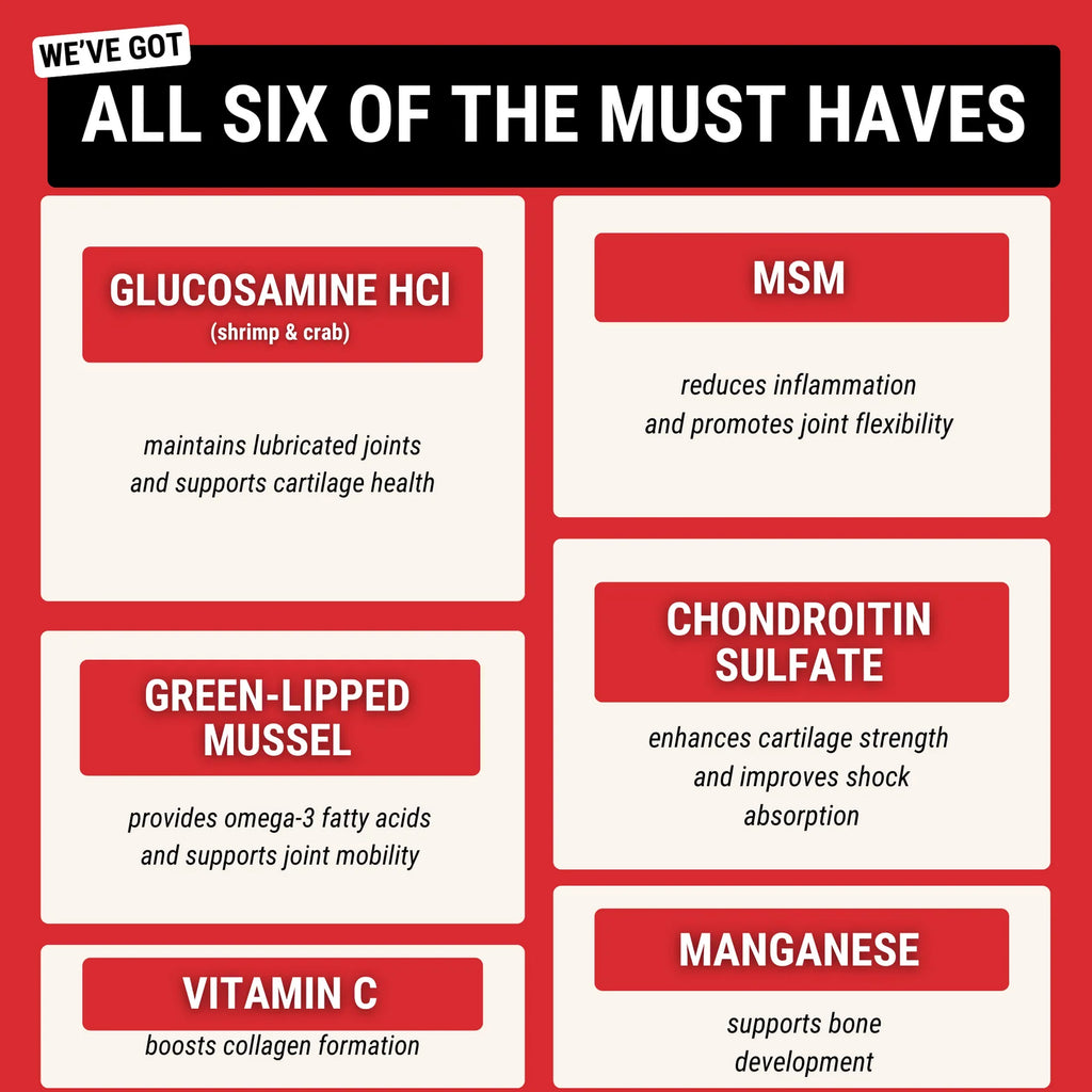 Hip and Joint Supplement Soft Chews for Dogs with Daily Mobility Support for Active Dogs of All Ages