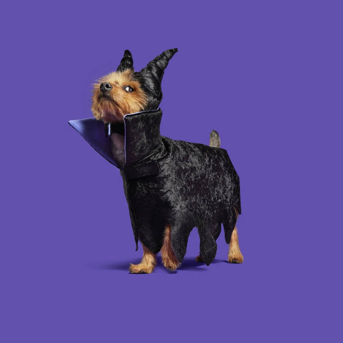 Horned Dog Costume with a Slightly Adjustable Cape and Headpiece for Halloween Dress-Up in S and M/L