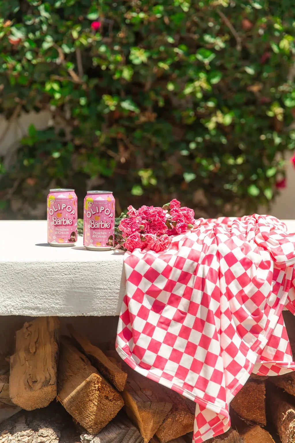 Hot Pink and White Checker Blanket with Double-Sided Brushed Softness in Four Size · Blankets
