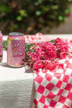 Hot Pink and White Checker Blanket with Double-Sided Brushed Softness in Four Size · Blankets