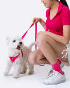 Hot Pink Dog Harness and Leash Set