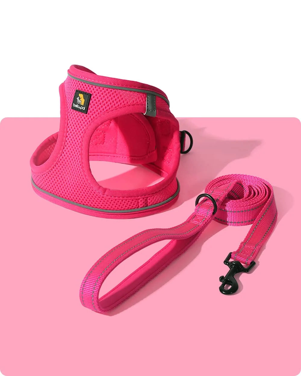 Hot Pink Dog Harness and Leash Set