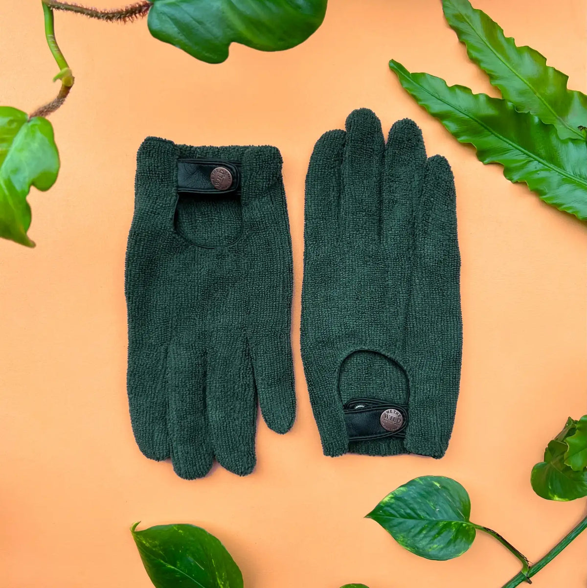 Houseplant Leaf Cleaning Kit