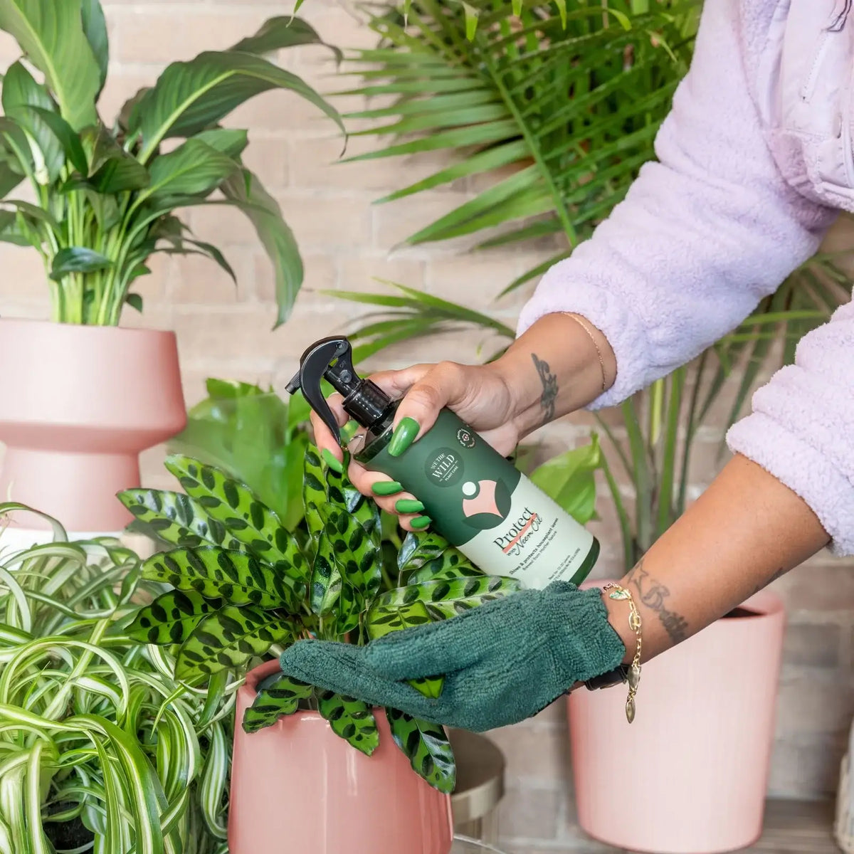 Houseplant Leaf Cleaning Kit