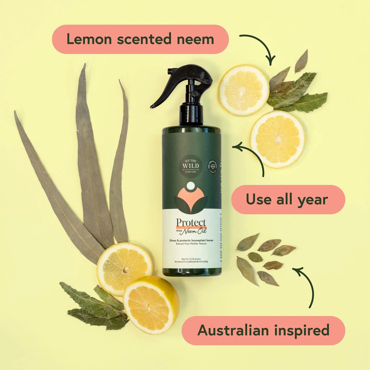 Houseplant Leaf Cleaning Kit