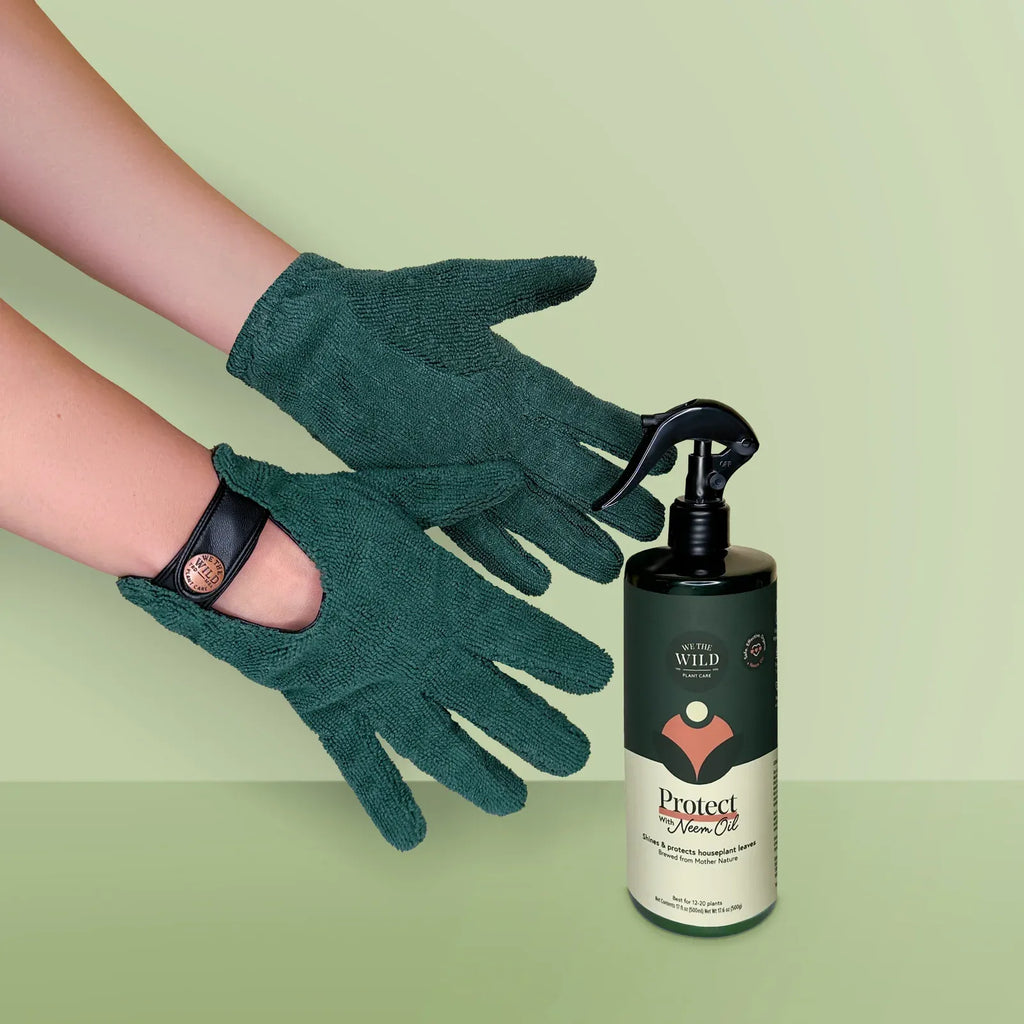 Houseplant Leaf Cleaning Kit