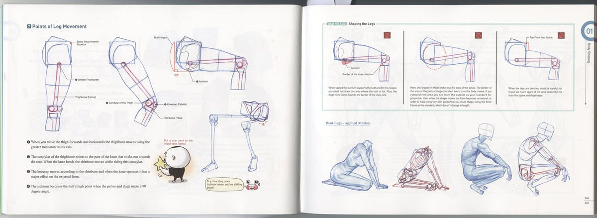 Human Anatomy Drawing Book for Beginners, English Softcover Guide to Body Proportion and Perspective