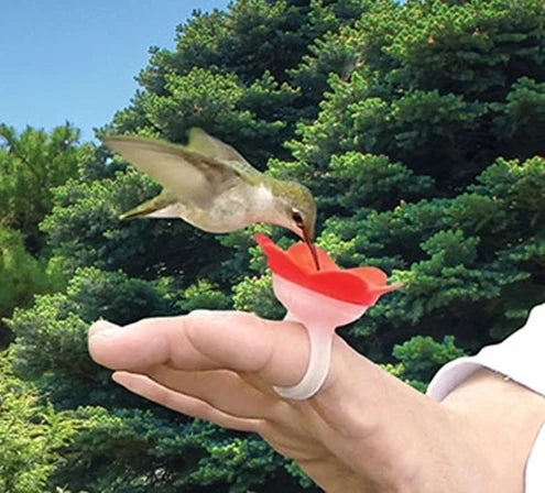 Hummingbird Hand Feeding Kit