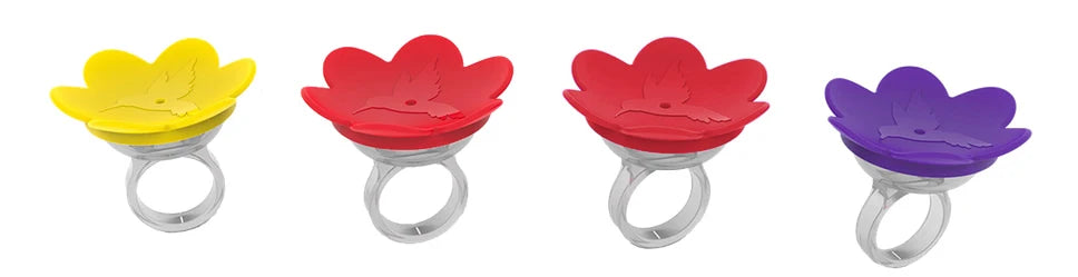Hummingbird Hand Feeding Kit