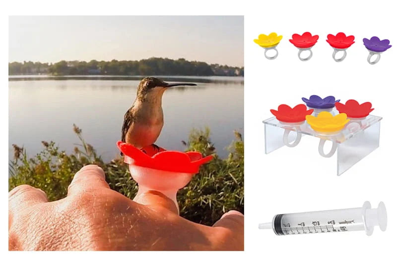 Hummingbird Hand Feeding Kit