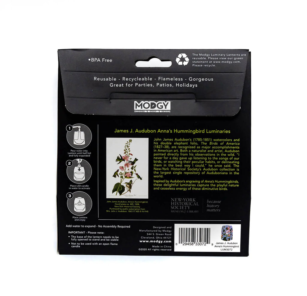 Hummingbird Luminary Lanterns, 4-Pack