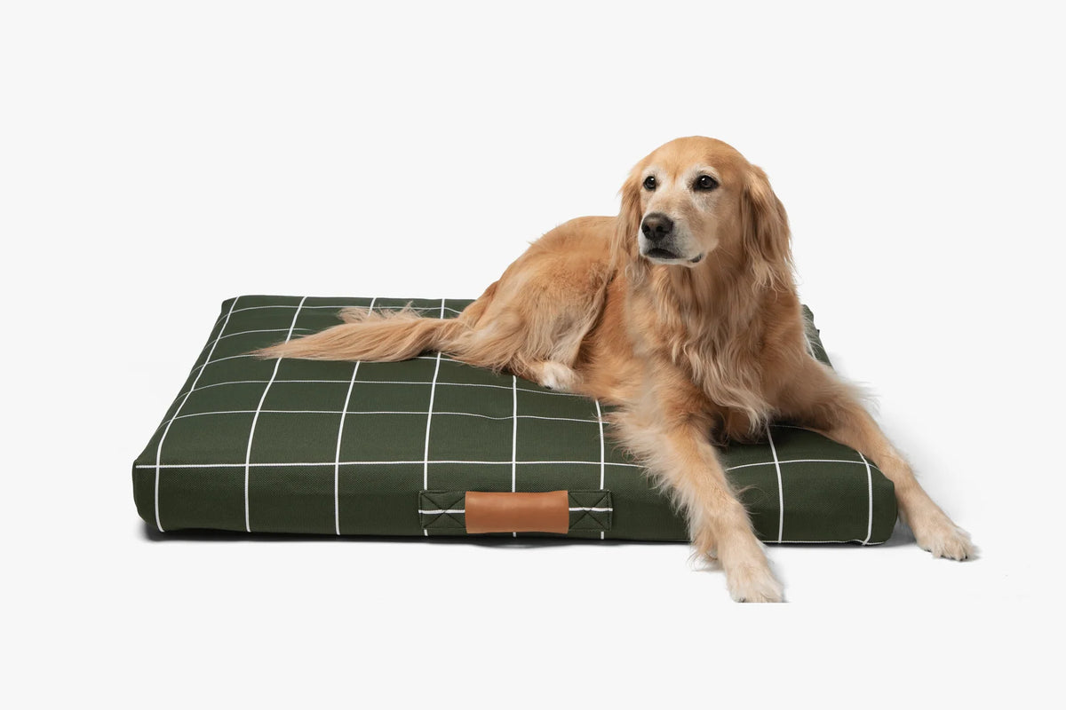 Hunter Green Grid Dog Bed Cover or Mattress Ensemble in Small to