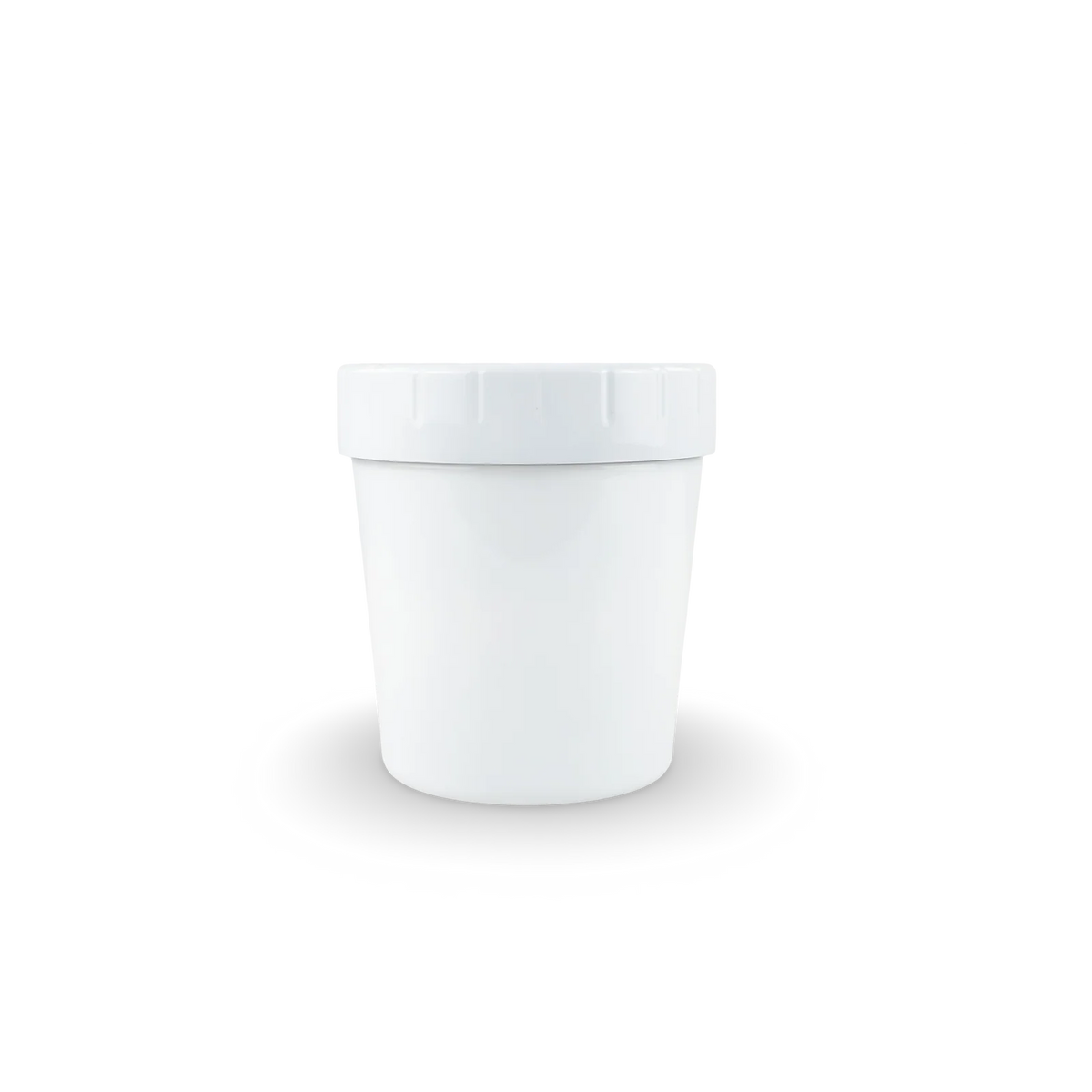 Ice Cream Containers