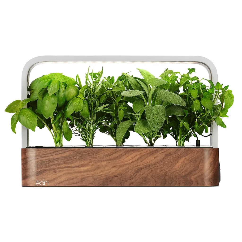 Indoor Garden
