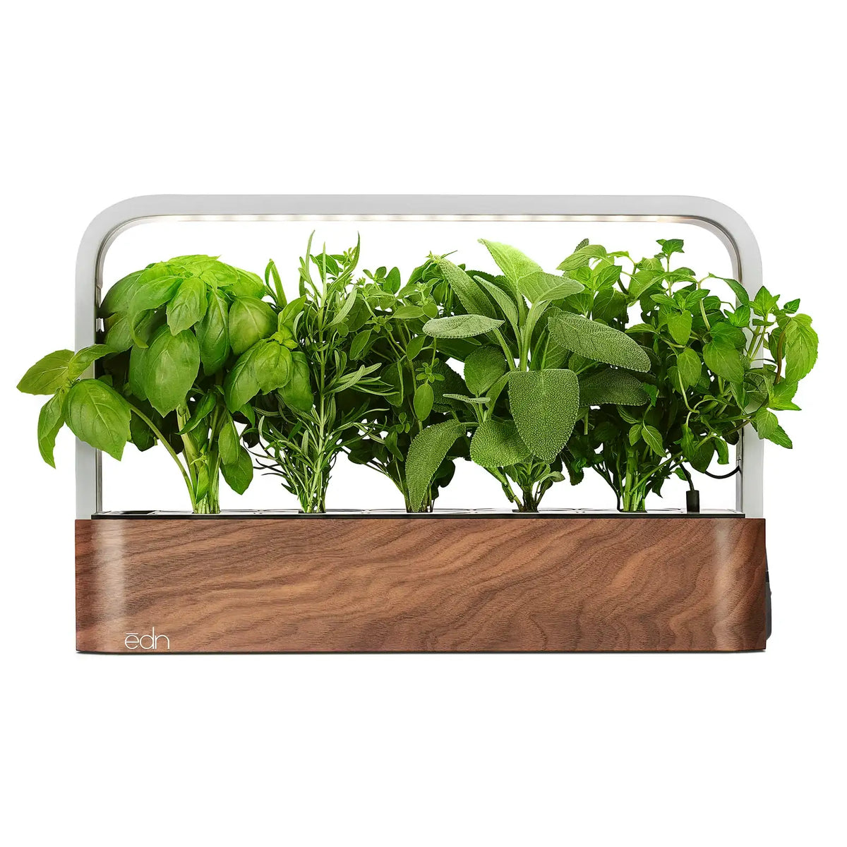Indoor Garden