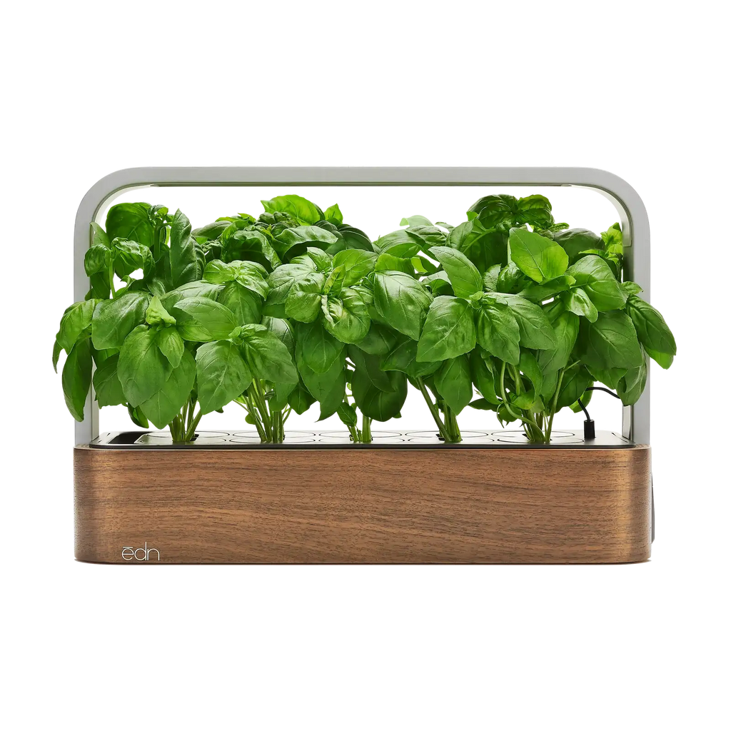 Indoor Garden, SmallGarden