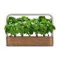 Indoor Garden, SmallGarden