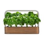 Indoor Garden, SmallGarden