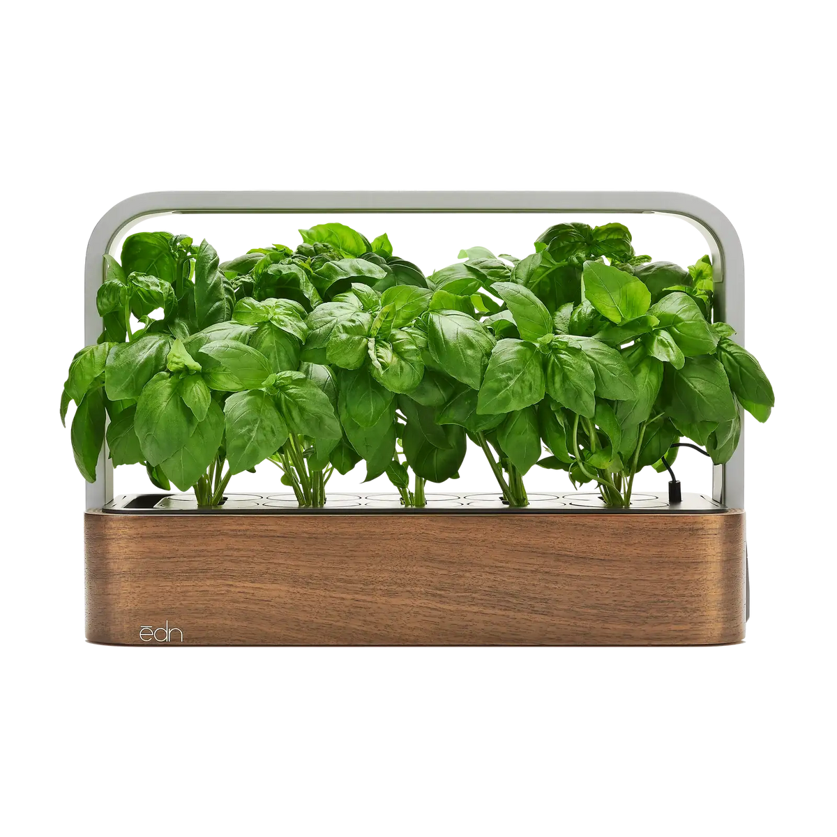 Indoor Garden, SmallGarden