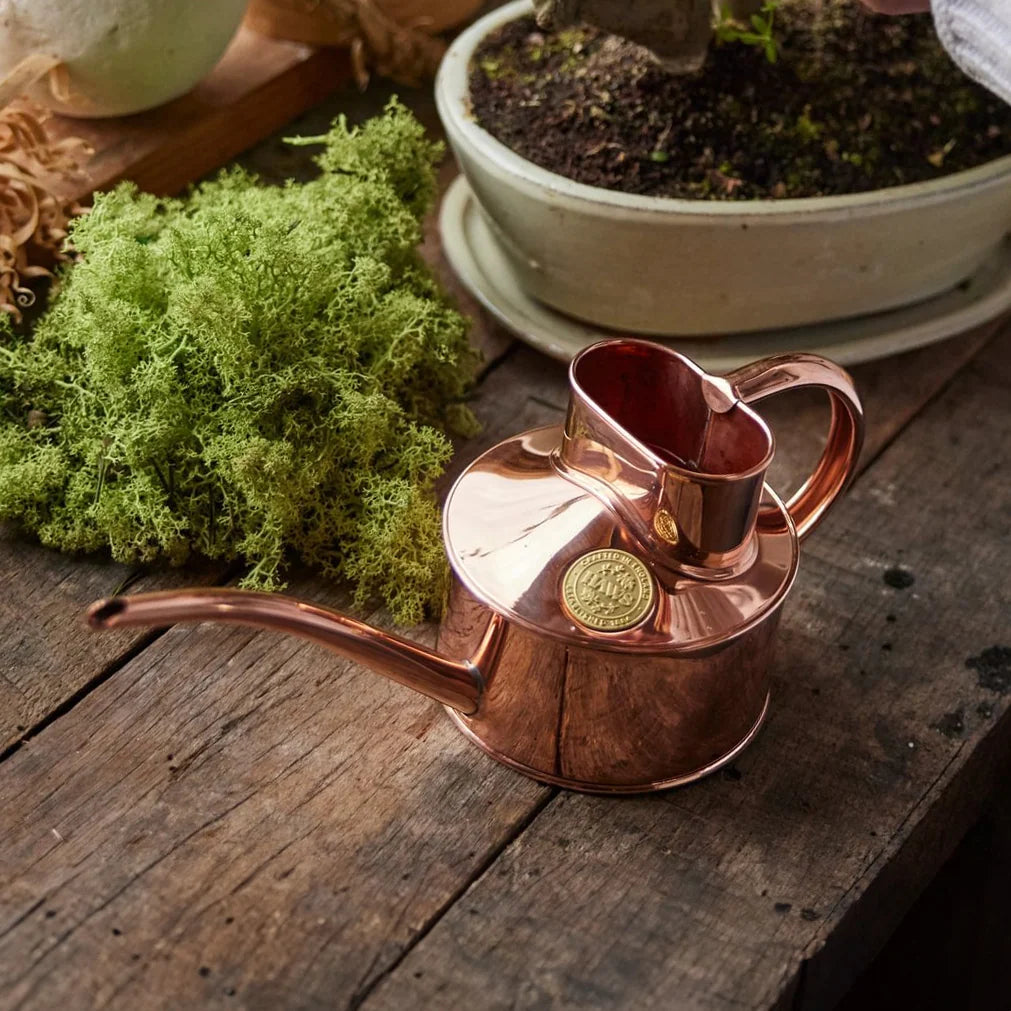 Indoor Watering Can, Copper