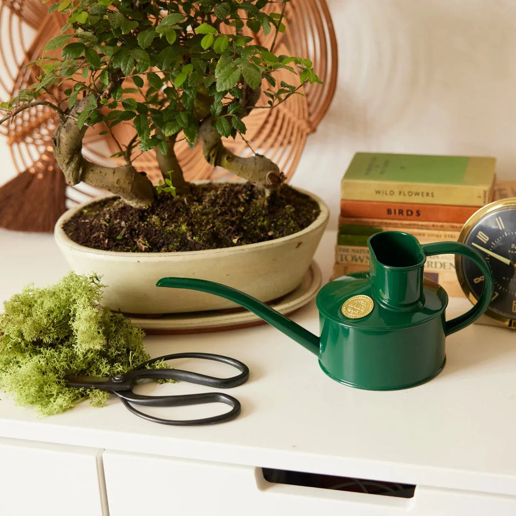 Indoor Watering Can
