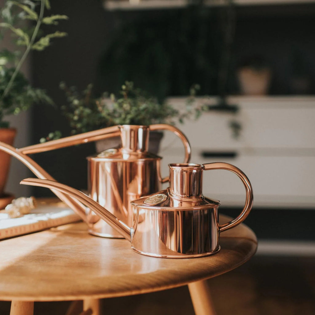 Indoor Watering Can